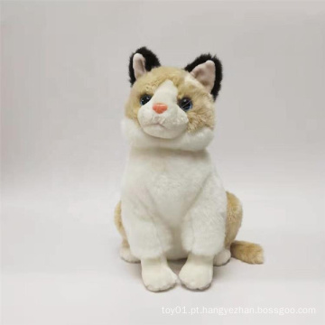 Brinquedos de animais de gato de pelúcia fofos